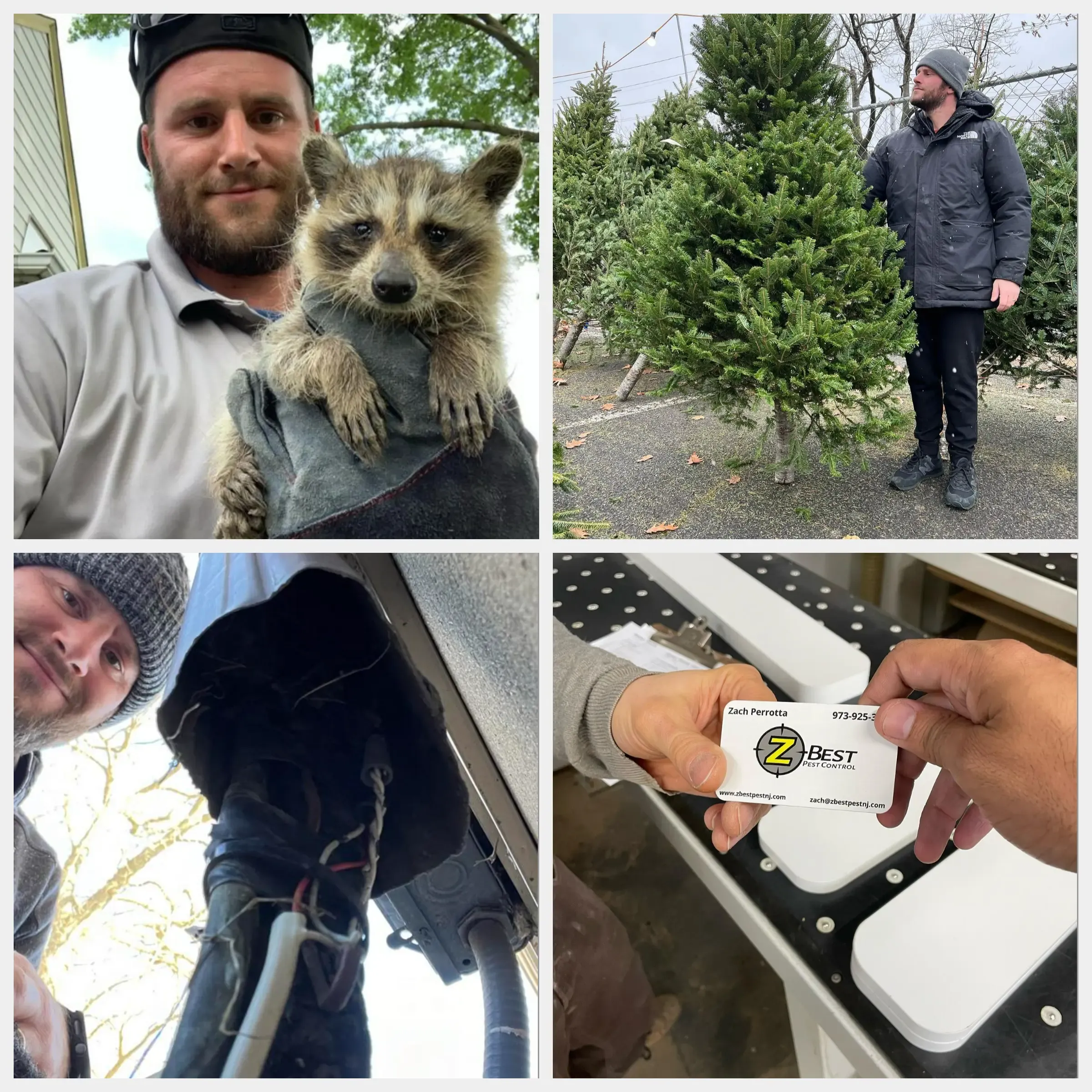 Zach Perrotta of Z Best Pest Control at work